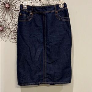 Blue Knee-Length Pencil Skirt for Casual Wear